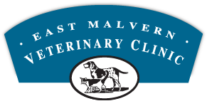 East Malvern Veterinary Clinic